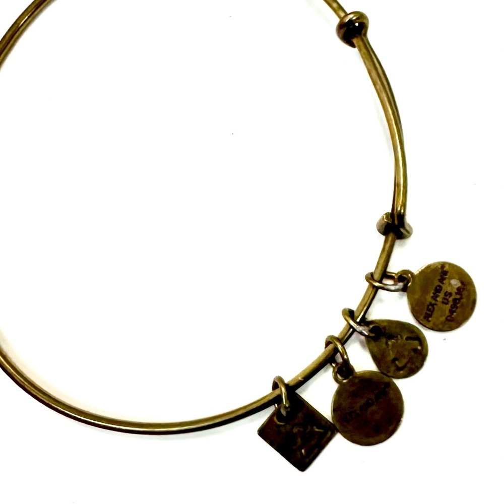 Alex & Ani Charm Bangle Bracelet
